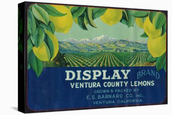 Display Lemon Label - Ventura, CA-Lantern Press-Stretched Canvas