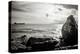 Distant Cargo Ship on Horizon-Torsten Richter-Premier Image Canvas