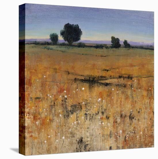 Distant Havenfield-Tim O'toole-Premier Image Canvas