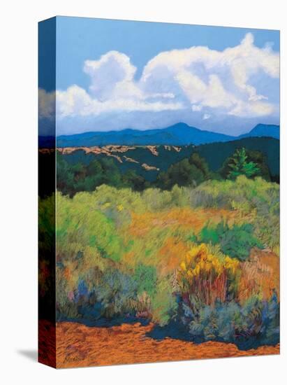 Distant Hills-Mary Silverwood-Stretched Canvas