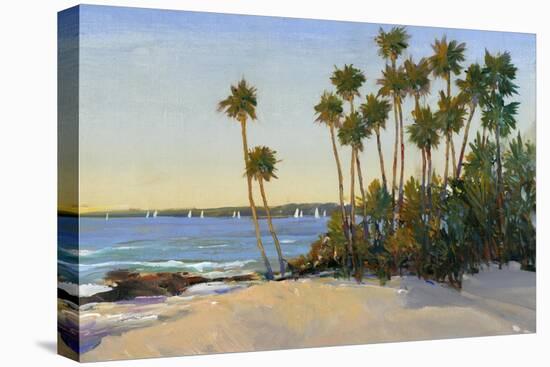 Distant Shore I-Tim O'toole-Stretched Canvas