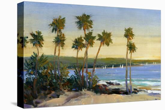 Distant Shore II-Tim O'toole-Stretched Canvas