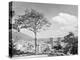 Distant View of Buildings of Caracas-null-Premier Image Canvas