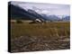 Disused Trapper's Hut and the Grassland, Forest and Glacier of Fort Richardson Park, Alaska, USA-Jeremy Bright-Premier Image Canvas