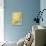 Dive Into Sunshine: Florida-Anderson Design Group-Stretched Canvas displayed on a wall