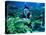 Diver Dressed as Santa Claus Feeds Fish as Part of Christmas Celebrations, Aquarium in Kuala Lumpur-null-Premier Image Canvas