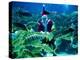 Diver Dressed as Santa Claus Feeds Fish as Part of Christmas Celebrations, Aquarium in Kuala Lumpur-null-Premier Image Canvas