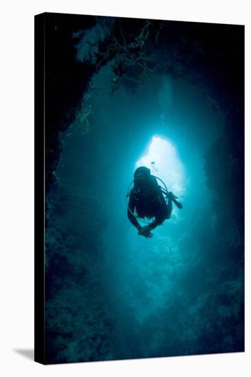 Diver Exploring a Blue Hole-Matthew Oldfield-Premier Image Canvas