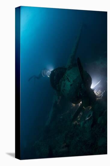 Diver Exploring the Wreck of a Japanese Navy Seaplane in Palau, Micronesia-Stocktrek Images-Premier Image Canvas