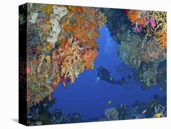 Diver Inspects Reef, Raja Ampat, Papua, Indonesia-Jones-Shimlock-Premier Image Canvas