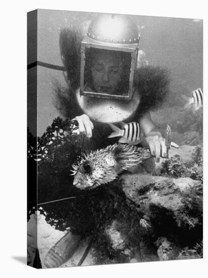 Diver Meddling Around with a Blowfish in Hartley's Underwater Movie in Bermuda-Peter Stackpole-Premier Image Canvas