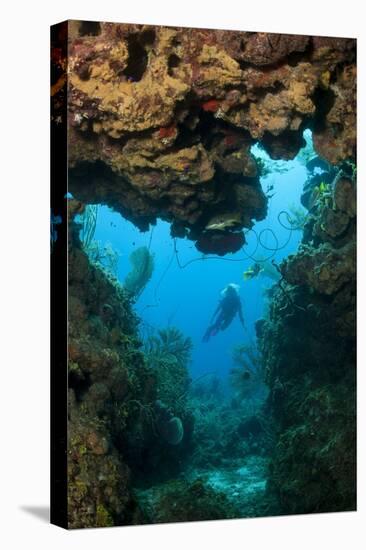 Diver Seen through Opening in Coral Reef.-Stephen Frink-Premier Image Canvas