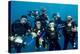 Divers-Matthew Oldfield-Premier Image Canvas