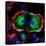 Dividing Cell, Light Micrograph-Science Photo Library-Premier Image Canvas