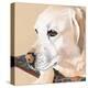 Dlynn's Dogs - Shell-Dlynn Roll-Stretched Canvas