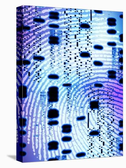 DNA Analysis-PASIEKA-Premier Image Canvas