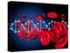 DNA And Red Blood Cells-Victor Habbick-Premier Image Canvas