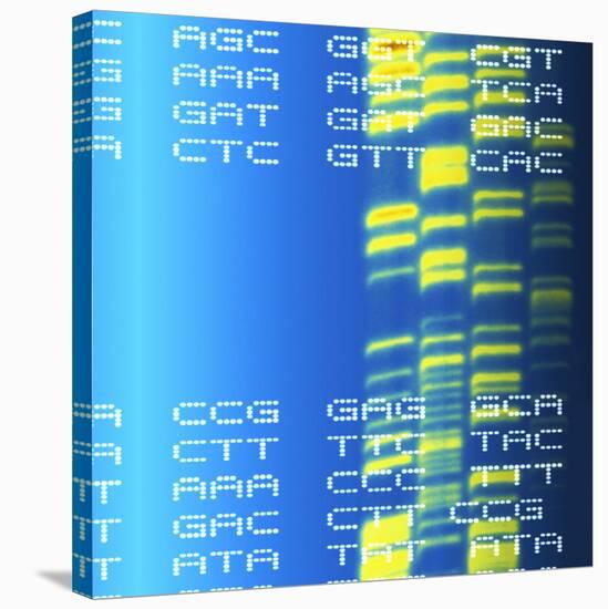 DNA Autoradiogram And Codons-Mehau Kulyk-Premier Image Canvas