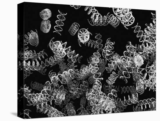 DNA Helices-Christian Darkin-Premier Image Canvas