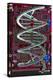 DNA Helix on Circuit Board-Christian Darkin-Premier Image Canvas