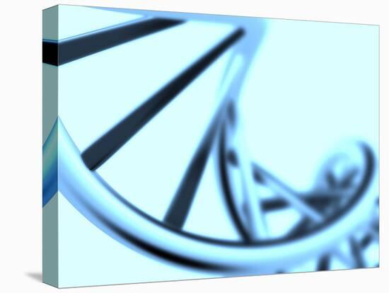 DNA Helix-PASIEKA-Premier Image Canvas