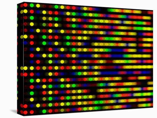 DNA Microarray-PASIEKA-Premier Image Canvas