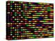 DNA Microarray-PASIEKA-Premier Image Canvas