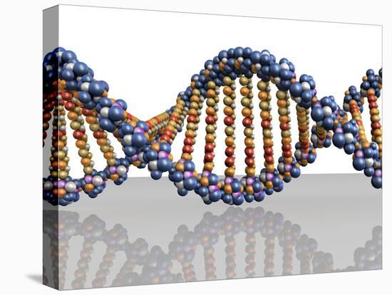 DNA Molecule, Computer Artwork-PASIEKA-Premier Image Canvas