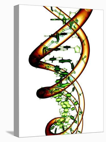 DNA Molecule, Conceptual Artwork-PASIEKA-Premier Image Canvas