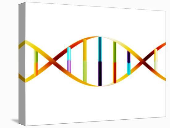 DNA Molecule-PASIEKA-Premier Image Canvas