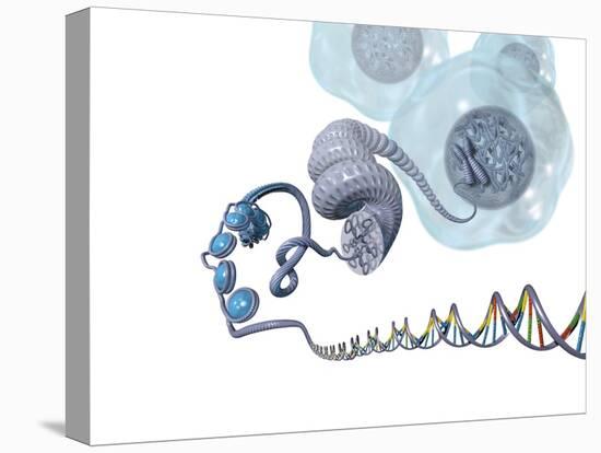 DNA Packaging, Artwork-Henning Dalhoff-Premier Image Canvas