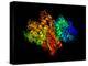 DNA Polymerase Klenow Fragment-Laguna Design-Premier Image Canvas