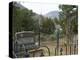 Doc Holliday's Grave, Glenwood Springs, Colorado, USA-Ethel Davies-Premier Image Canvas