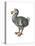 Dodo (Raphus Cucullatus), Birds-Encyclopaedia Britannica-Stretched Canvas