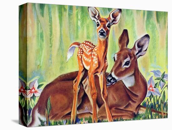 "Doe and Fawn in Forest," June 1, 1940-Paul Bransom-Premier Image Canvas
