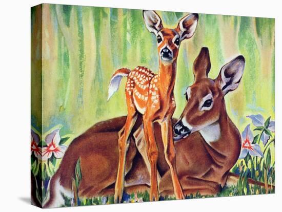 "Doe and Fawn in Forest," June 1, 1940-Paul Bransom-Premier Image Canvas