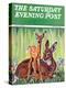 "Doe and Fawn in Forest," Saturday Evening Post Cover, June 1, 1940-Paul Bransom-Premier Image Canvas