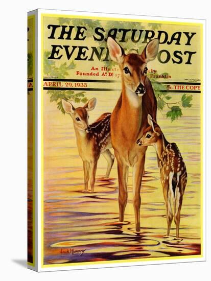 "Doe and Fawns," Saturday Evening Post Cover, April 29, 1933-Jack Murray-Premier Image Canvas