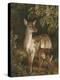 Doe with Her Fawn-Samuel John Carter-Premier Image Canvas