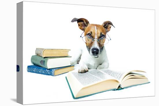 Dog and Books-Javier Brosch-Premier Image Canvas