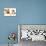 Dog and Cat above White Banner-websubstance-Premier Image Canvas displayed on a wall