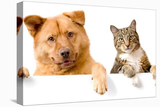 Dog and Cat above White Banner-websubstance-Premier Image Canvas