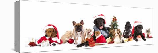 Dog and  Cat and Kitens  Wearing a Santa Hat-Lilun-Premier Image Canvas