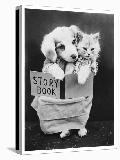 Dog and Cat Reading-null-Premier Image Canvas