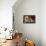 Dog and Cat Sitting in a Chair-DLILLC-Premier Image Canvas displayed on a wall