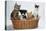 Dog and Cats Three Kittens and a Puppy Sitting in Basket-null-Premier Image Canvas