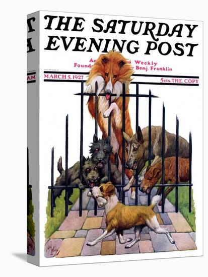 "Dog and His Bone," Saturday Evening Post Cover, March 5, 1927-Robert L. Dickey-Premier Image Canvas