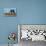 Dog and Lamb, Border Collie and Cross Breed Lamb-null-Premier Image Canvas displayed on a wall