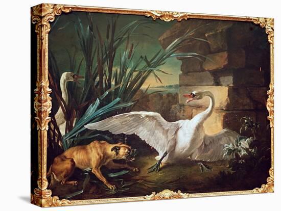 Dog and Swans (Oil on Canvas)-Jean-Baptiste Oudry-Premier Image Canvas