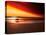 Dog at Sunset-Josh Adamski-Premier Image Canvas